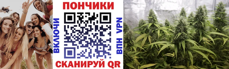 Шишки марихуана семена  Тихорецк 
